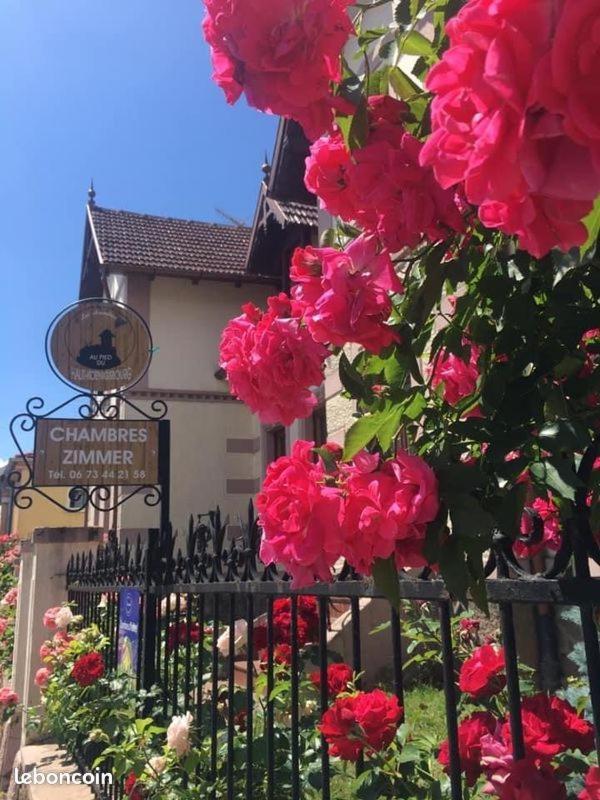 Gites Au Pied Du Haut-Koenigsbourg Kintzheim Zewnętrze zdjęcie